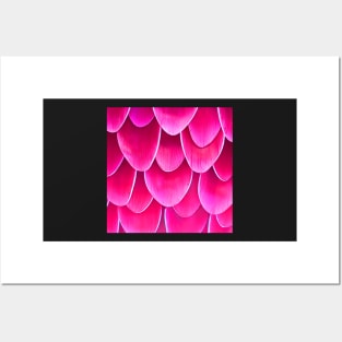 Dripping Flower Petals in Pink Posters and Art